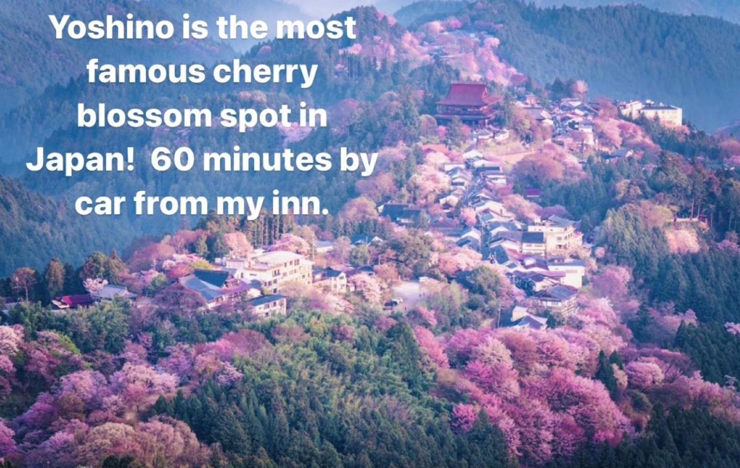 Inn Unkai No Sato No Yado Nosegawa Exterior foto